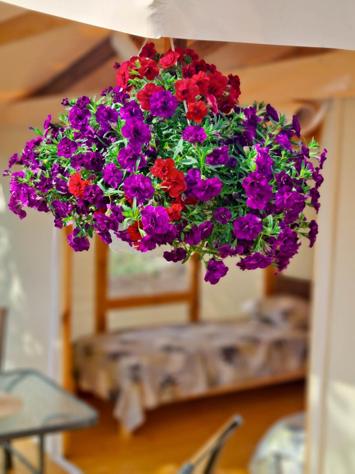 Camping Saint George Топола Экстерьер фото